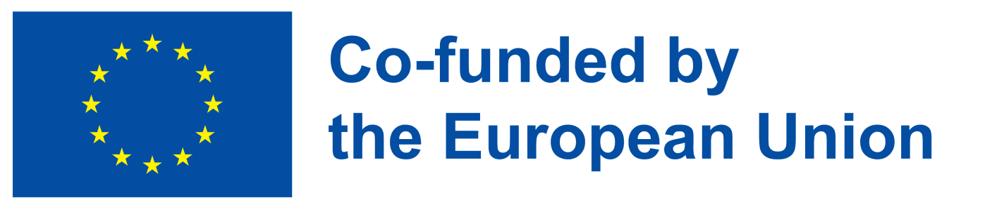 Co-funded by the European Union